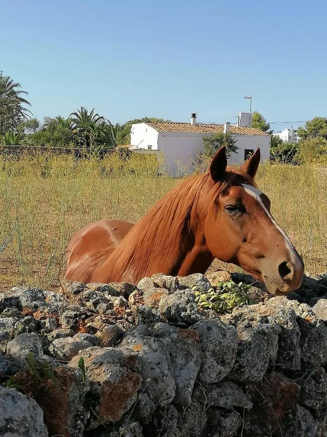 Apartamento Aigua Dolca Santandria Son Carrio   Son Carrio (Menorca)