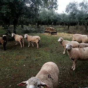 https://el-venero-de-mostoles.es-andalucia.com